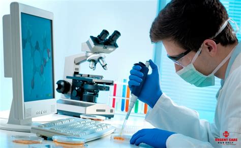 analyzing a laboratory investigation|who typically performs laboratory tests.